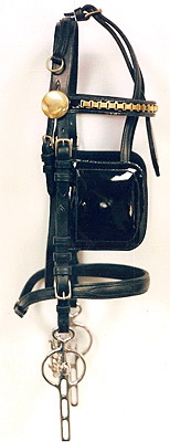 Harness Bridle