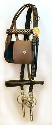 Harness Bridle