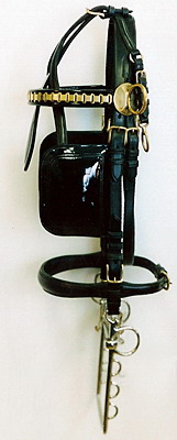   Harness Bridle